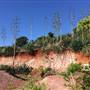 St Helena - Red Hillside