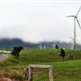 Windy Hill Wind Farm