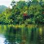 Daintree River