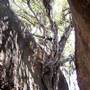 Rock Cavern (Rangelands Station)
