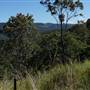 High Country Dirt Track