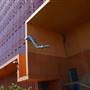 TRI Medical Research Institute with Atrium - EXTERIOR