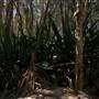Gold Coast - Coombabah Lakelands