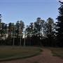 The Secret Forest - Oxley Creek Common