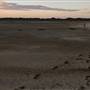 Geoff Skinner Wetlands