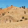 Winton Hills