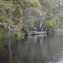 Harrys Hut Area (Noosa Everglades)