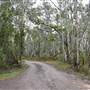 Harrys Hut Area (Noosa Everglades)