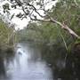 The Narrows (Noosa Everglades)