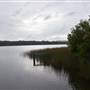 Lake Como (Noosa Everglades)