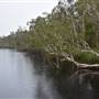 Lake Como (Noosa Everglades)