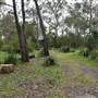 Fig Tree Point (Noosa Everglades)
