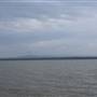 Lake Cootharaba (Noosa Everglades)