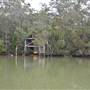 Johns Landing (Noosa Everglades)