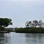 Noosa Everglades - Tewantin Docks
