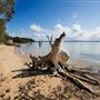 Macleay Island