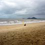 Palm Cove - Beach / Coastline