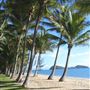 Palm Cove - Beach / Coastline