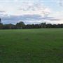 Coombabah Lakelands Conservation Area - Open Field & Forest