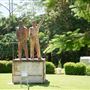 Millaa Millaa - Township