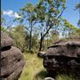 Karawatha Forest Park - Overview