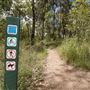 Mt Coot-tha Forest - Overview