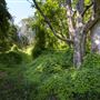 Riverside Park