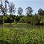 Parkland on the River - Colleges Crossing Recreation Reserve