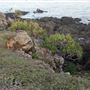 Campwin Beach Lookout / Coral Point Reef