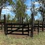 Dumbarton Cattle Station