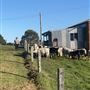 Back Creek Farm