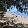 Yorkeys Knob Beach