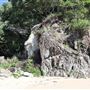 Yorkeys Knob Cove
