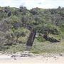 Third Bay Coolum