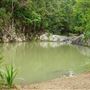 Currumbin Rock Pools