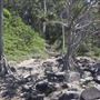 North of Boiling Pot/Tea Tree Bay