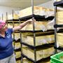 Mungalli Creek Bio-Dynamic Dairy