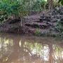 Peterson Creek Wildlife & Botanical Walking Track