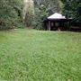 Peterson Creek Wildlife & Botanical Walking Track