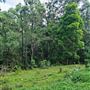 Hayes Property