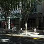 Edward Street