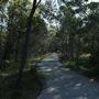 Epapah Creek - Karl's Pier track