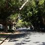 Chelmer Streetscape