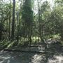 Cornubia Forest