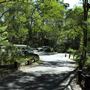 Daisy Hill Koala Centre