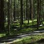 Daisy Hill Conservation Park
