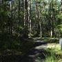 Daisy Hill Conservation Park