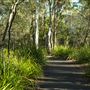 Hemmant Quarry Reserve