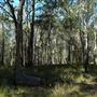 Venman Bushland