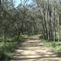 Boondall Wetlands